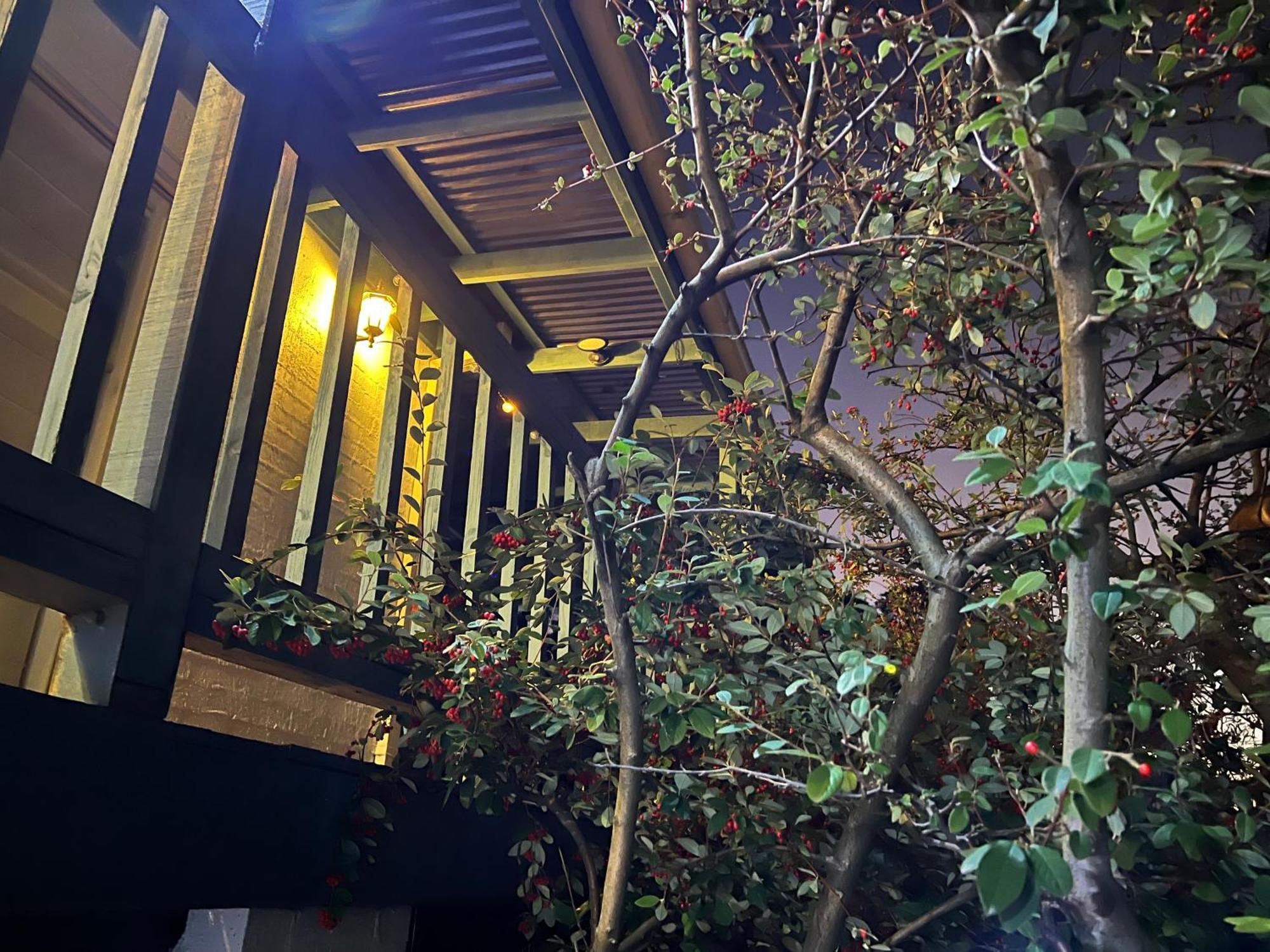 Villa Nest On A Crest à Rye Extérieur photo